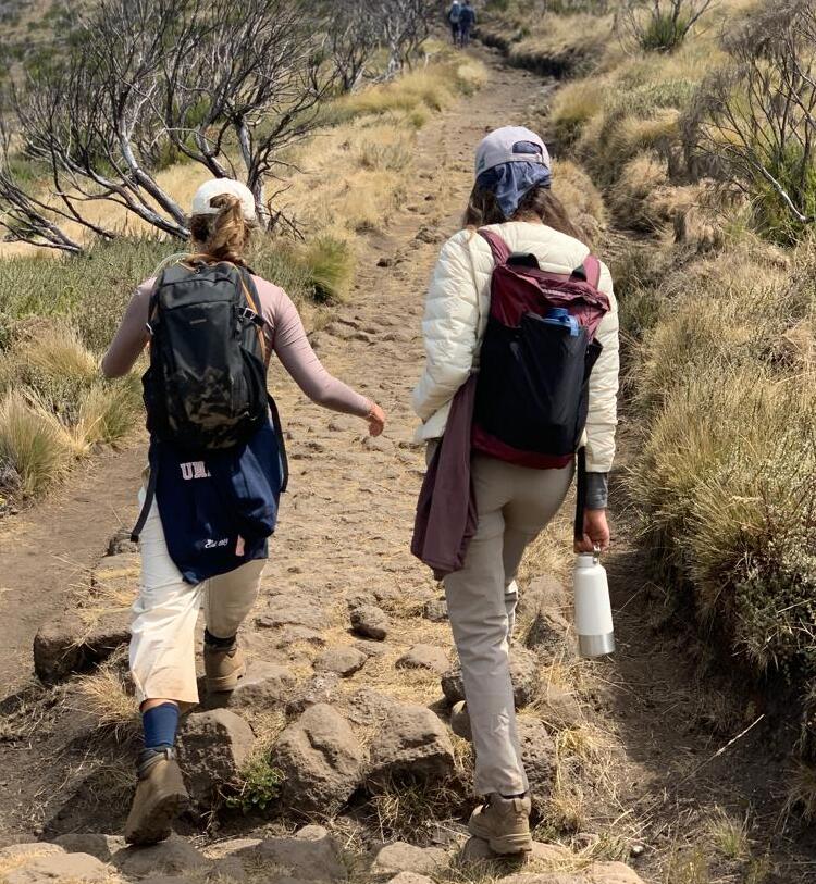 6 days marangu route